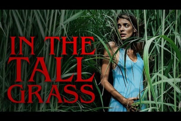 In the Tall Grass (2019) In the Tall Grass (2019)